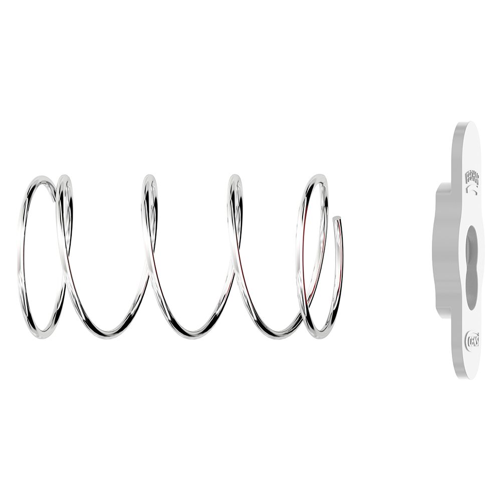 TRAVA E MOLA INOX ACION. VALV DESC